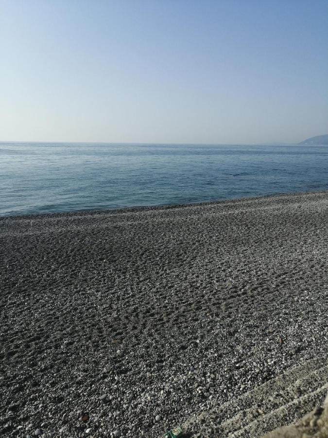 Bon Amour Gagra Exteriér fotografie